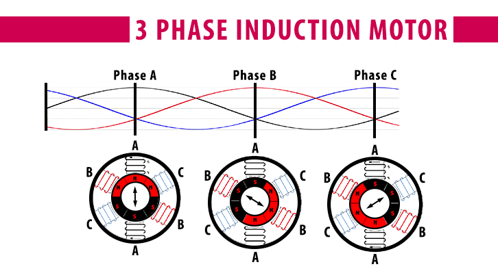 magnetic rotation for three phase induction motor