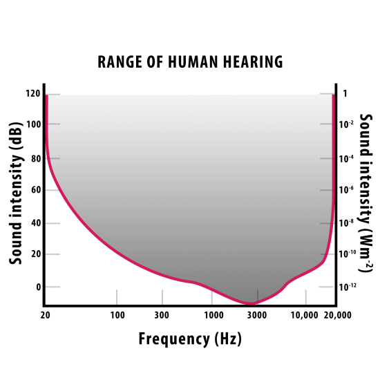 human hearing response chart