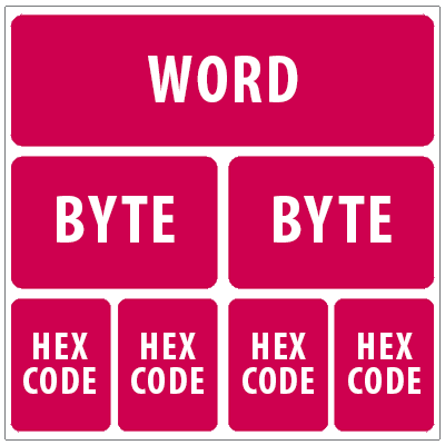 Diagram of binary bit coding hierarchy going from Hex codes to bytes to a word