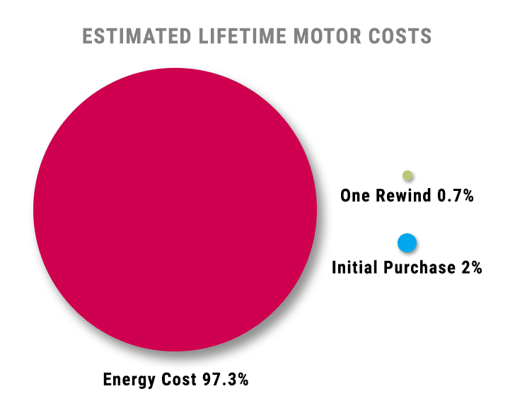 Cost of an electric motor over time from initial purchase price to Energy to Rewind. Cost comparison chart