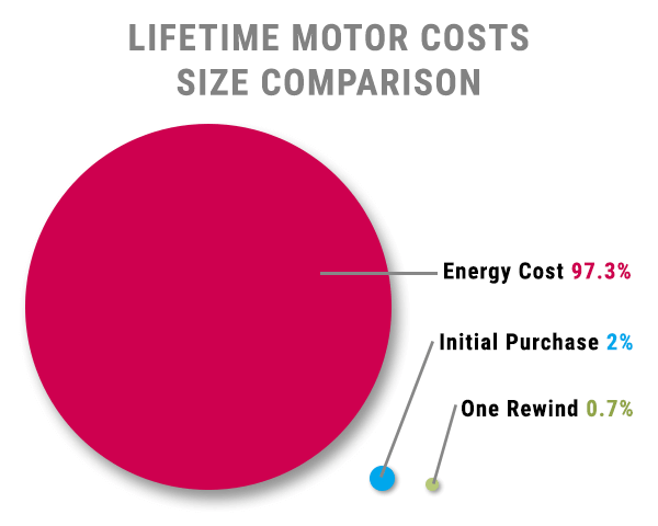 Cost comparison graphic of an electric motor over time from initial purchase price to Energy consumption. 
